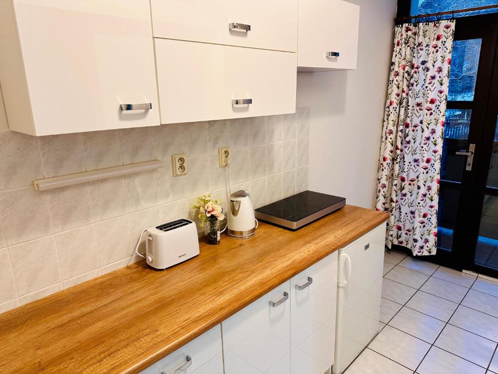 Kuchnia lub aneks kuchenny w obiekcie Pension Lenka 2