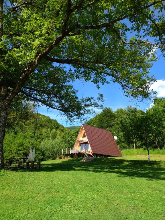 a cabin in the middle of a field with a tree at Casuta dintre nuci in Blăjeni