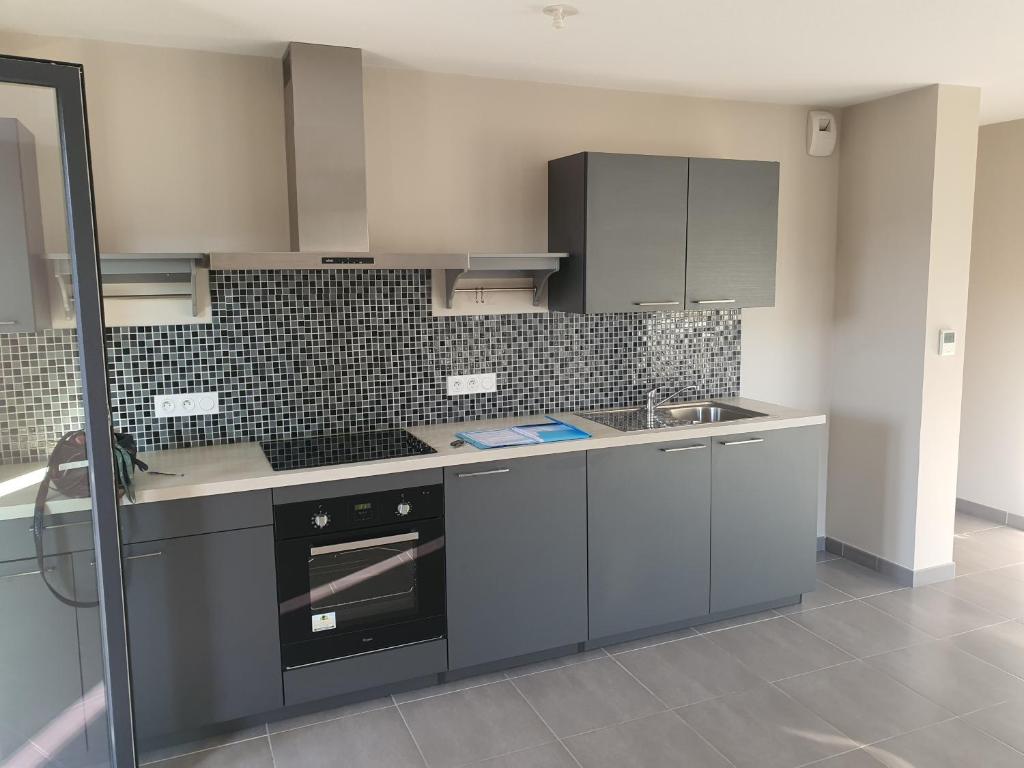 - une cuisine avec des placards gris, une cuisinière et un évier dans l'établissement F2 Strasbourg, à Strasbourg