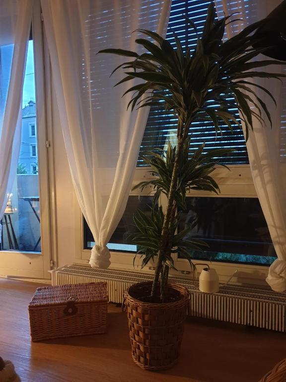 El Destino Apartments - Resim 36