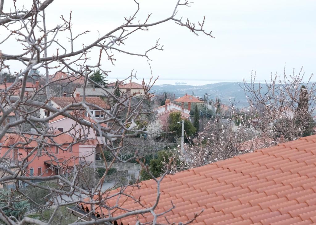 Příroda nedaleko apartmánu