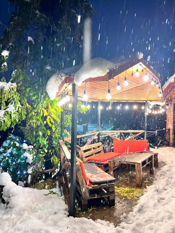 Fotografie z fotogalerie ubytování Sunshine House v destinaci Kutaisi
