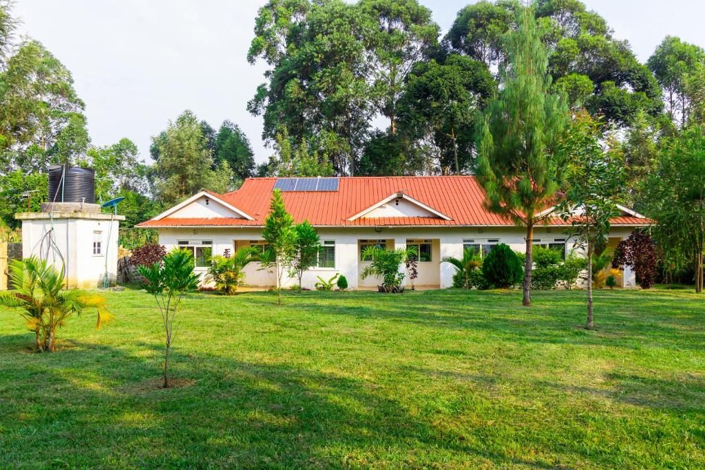 Κήπος έξω από το Ludali homes