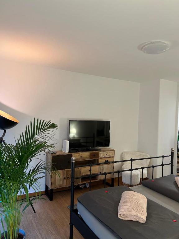 TV a/nebo společenská místnost v ubytování El Destino Apartments
