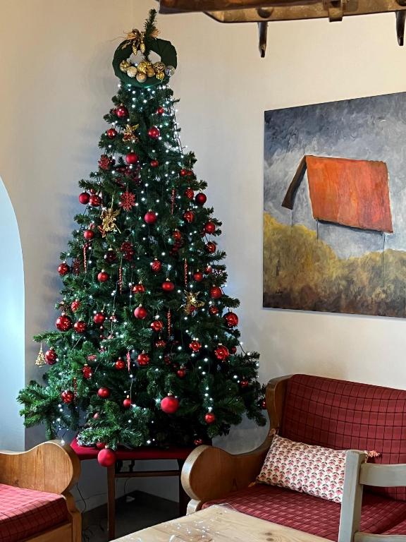 Domaine La Cour Des Nobles - Demeure, Maison et Appartements au coeur de Riquewihr – photo 20