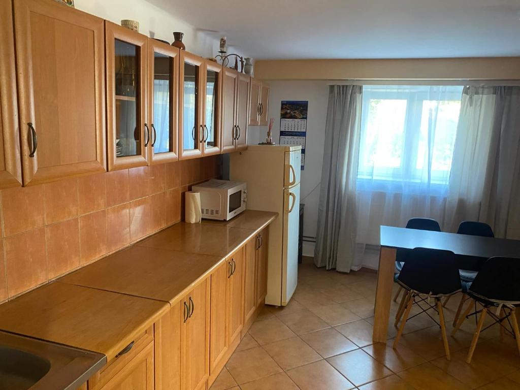 Kuchyňa alebo kuchynka v ubytovaní Apartament na Ustrzyckiej