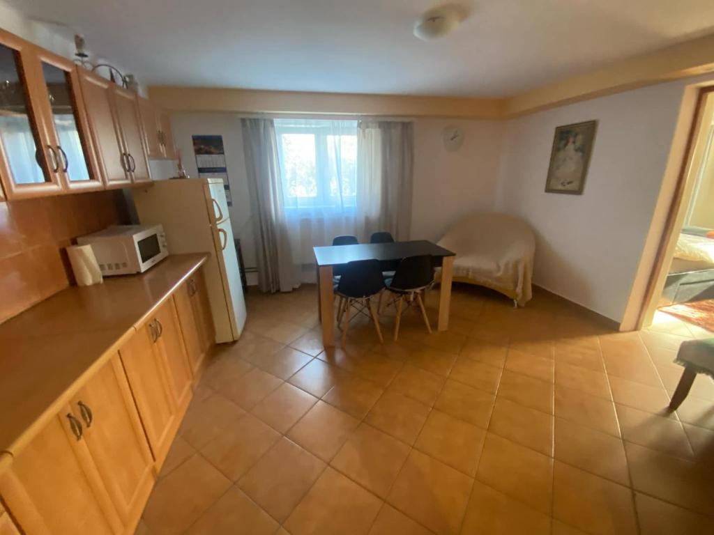 Kuchyňa alebo kuchynka v ubytovaní Apartament na Ustrzyckiej