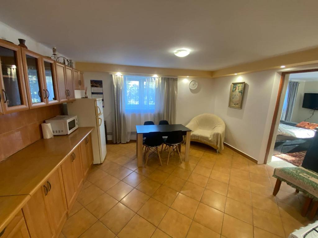 Kuchyňa alebo kuchynka v ubytovaní Apartament na Ustrzyckiej