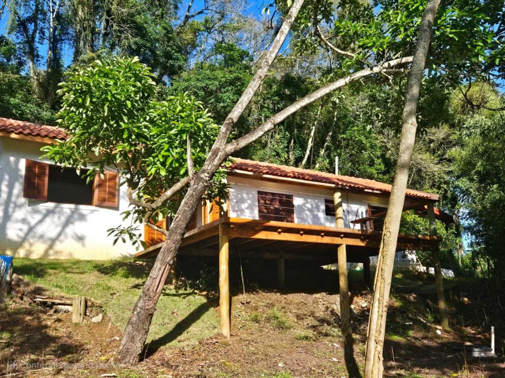 una casa en el árbol en medio de un bosque en Casinha da Mantiqueira - SAP, en Santo Antônio do Pinhal