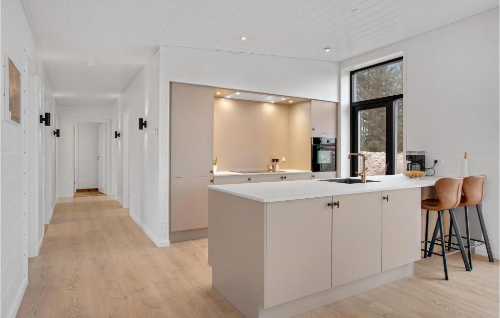 Η κουζίνα ή μικρή κουζίνα στο 4 Bedroom Awesome Home In Bindslev