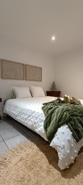 une chambre avec un lit avec une couverture verte dessus dans l'établissement Charmant et élégant appartement, à Drancy