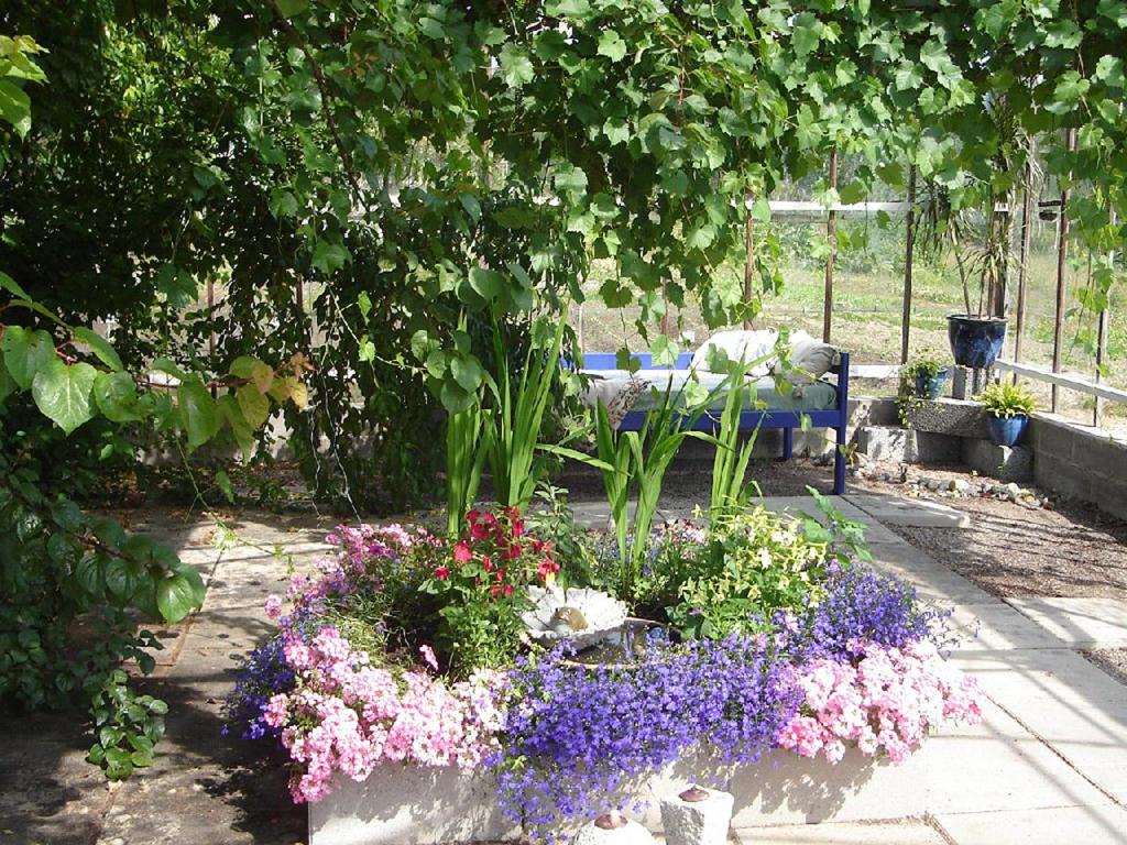 Zahrada ubytování Tingvall B&B Eco-Lodge