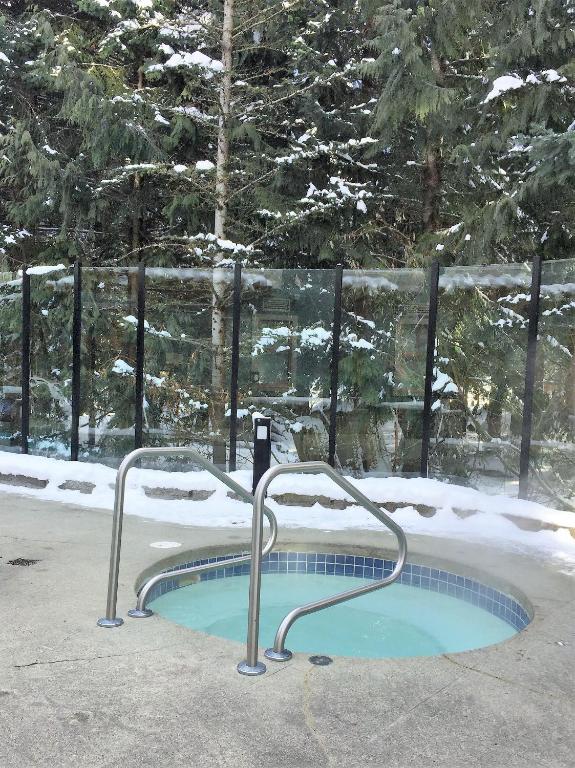 Alpenglow Lodge Studio with park view by MVA v zimě