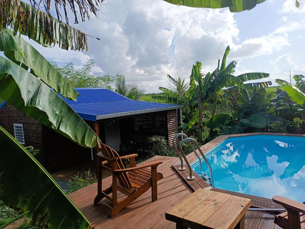 Bazén v ubytování Le Paradis des Colibris Gîte créole avec piscine table dhôtes et nature à Anse Bertrand nebo v jeho okolí