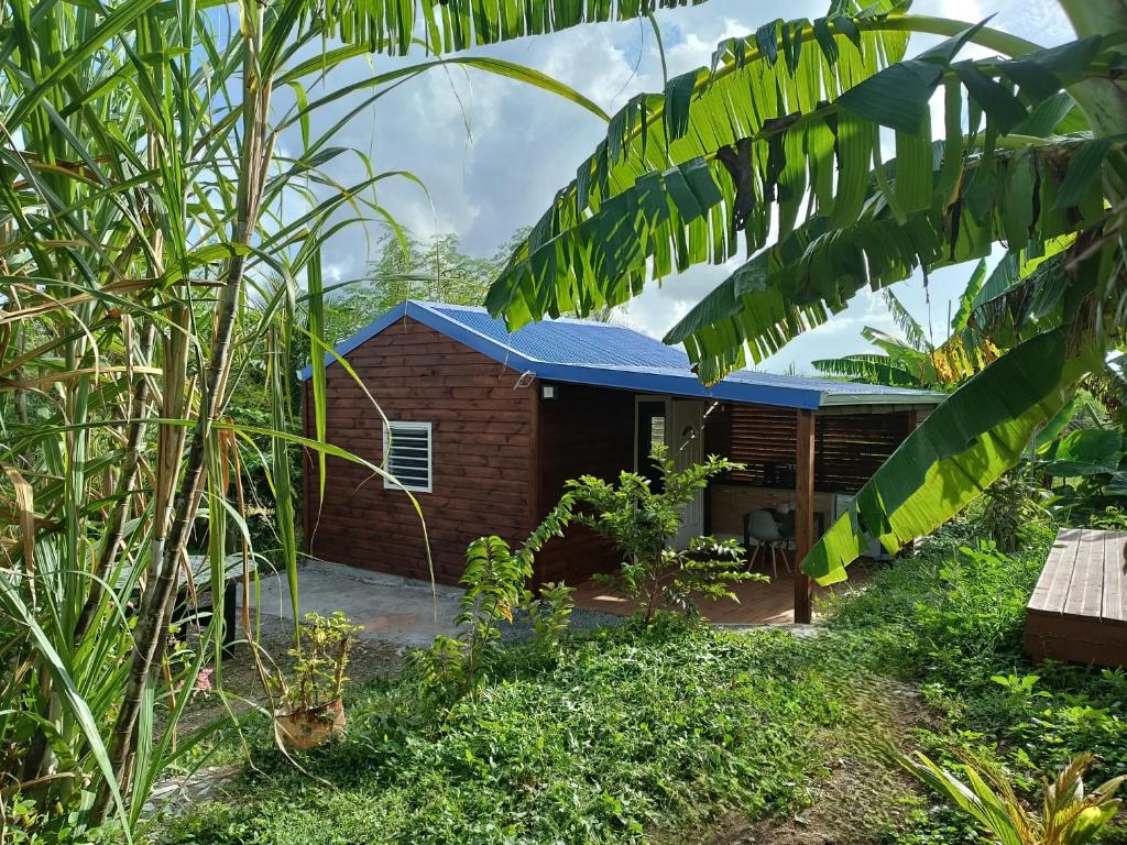 Zahrada ubytování Le Paradis des Colibris Gîte créole avec piscine table dhôtes et nature à Anse Bertrand