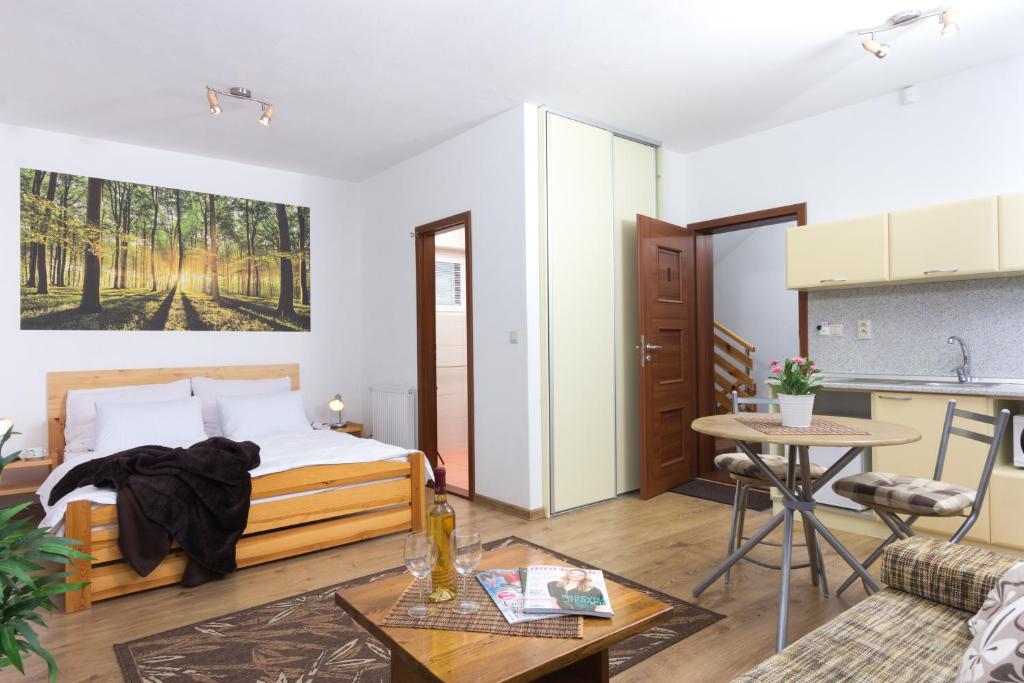 Kuchyň nebo kuchyňský kout v ubytování Apartmány Lipka