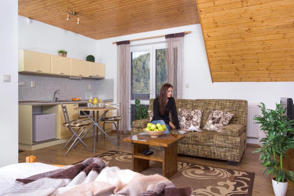 Posezení v ubytování Apartmány Lipka