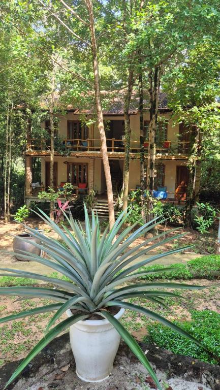 Valley Village Resort Phu Quoc - 1