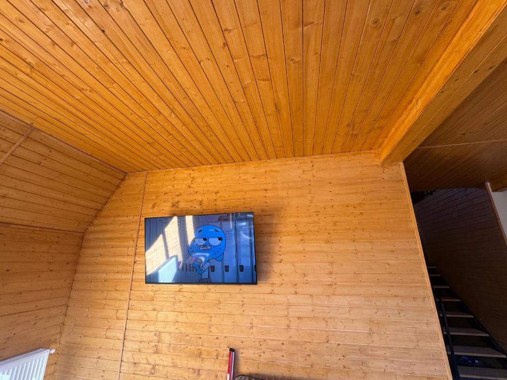 TV a/nebo společenská místnost v ubytování Cozy Aframe Valea Doftanei