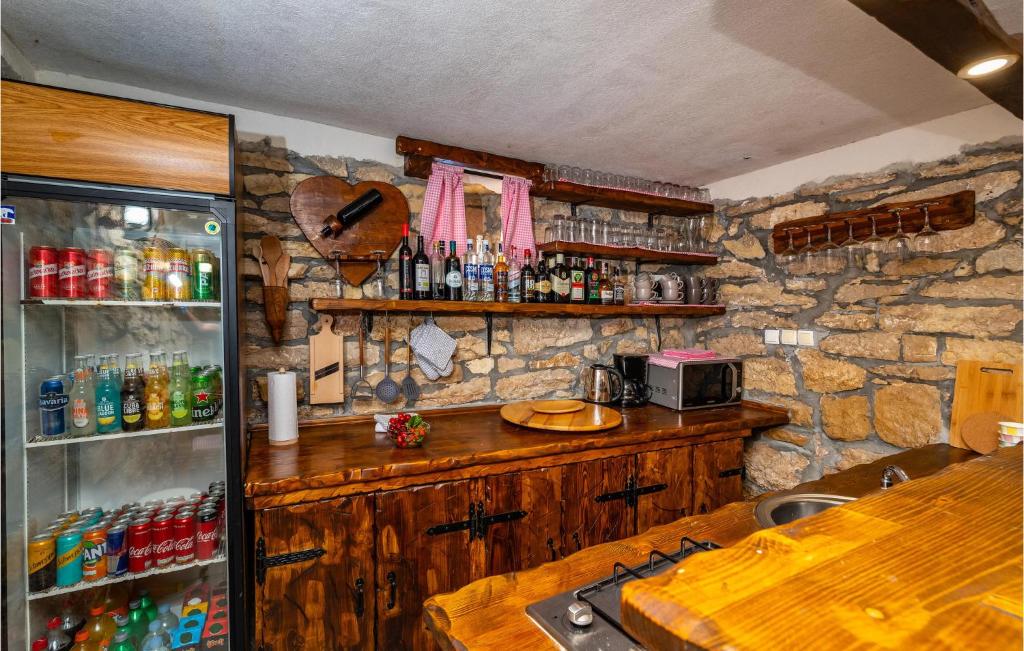 Kuchyňa alebo kuchynka v ubytovaní Gorgeous Home In Zelengrad With Kitchen