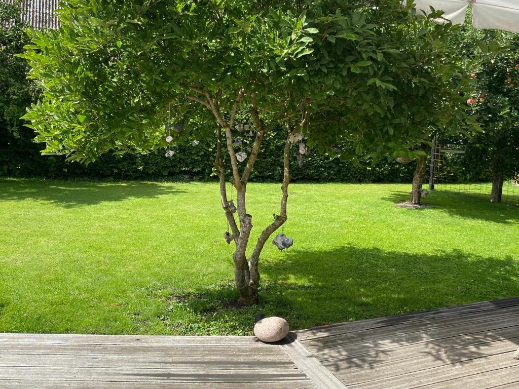 Zahrada ubytování Villa Hygge
