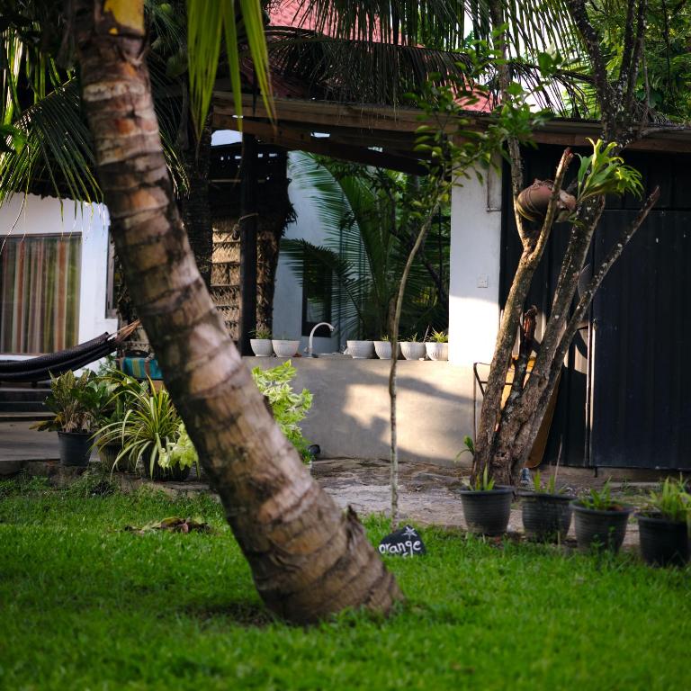 Zahrada ubytování Slow Living Guesthouse and Hostel