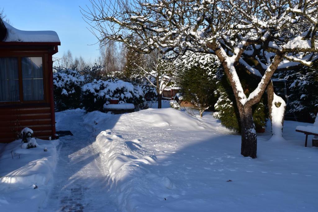 Domek Jaskółka durante el invierno