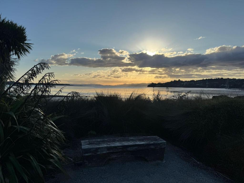 Auckland City cozy Stay - Resim 33