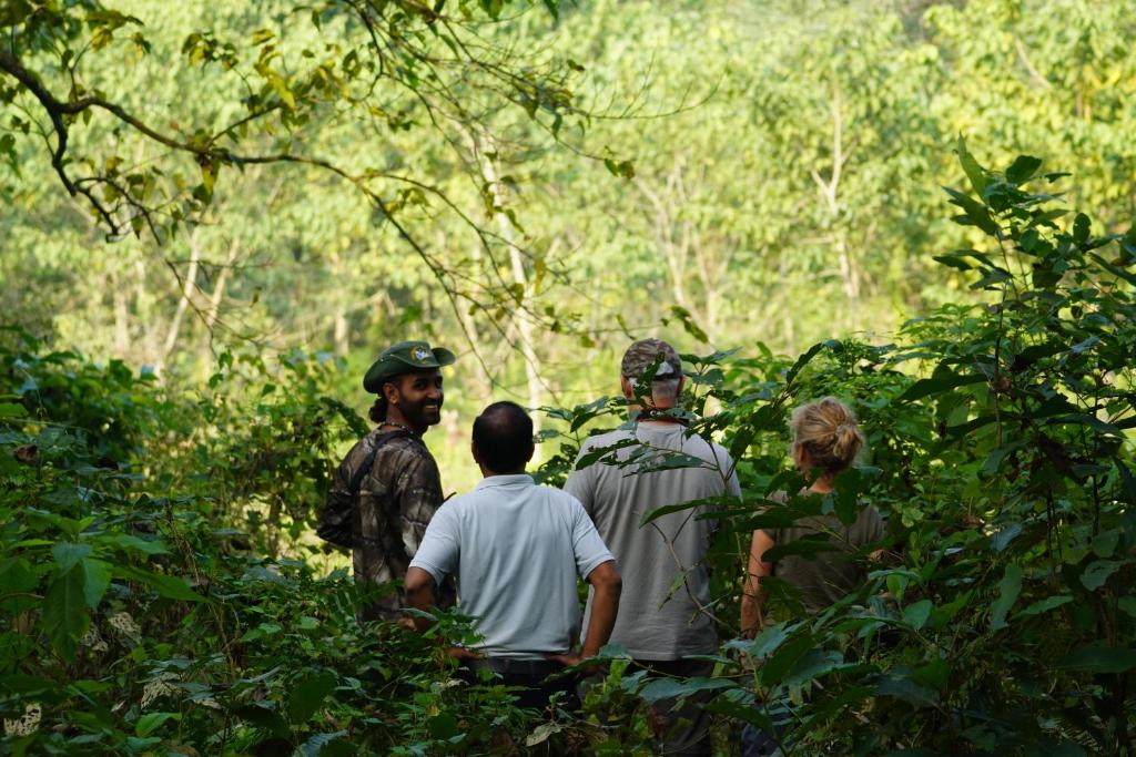 Hosté ubytování Wildflow jungle yoga safari and homestay