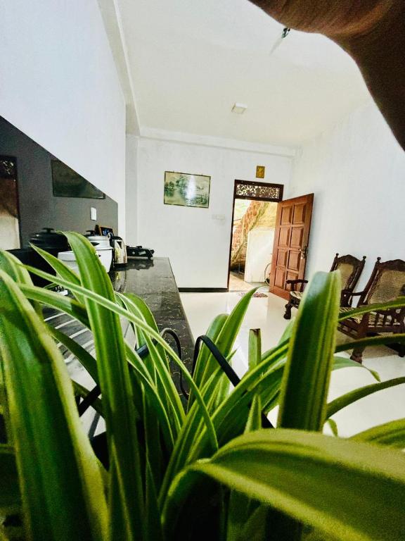 Fotografie z fotogalerie ubytování Sanithu Homestay and villa Galle v destinaci Galle
