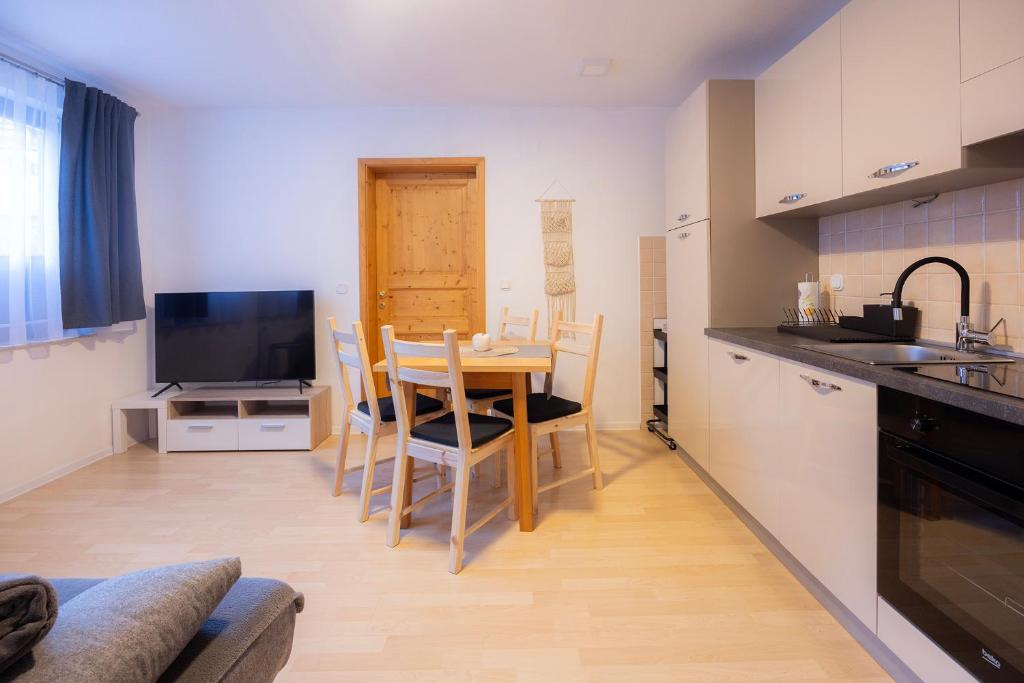 Kuchyň nebo kuchyňský kout v ubytování Apartmaji Anže Kranjska Gora