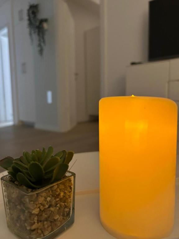 MM Apartments Zore - 4