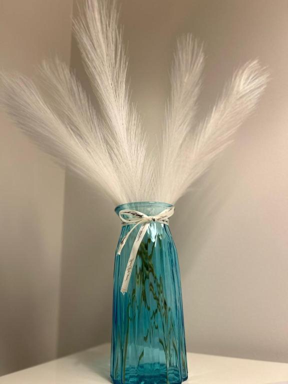 MM Apartments Zore - 5