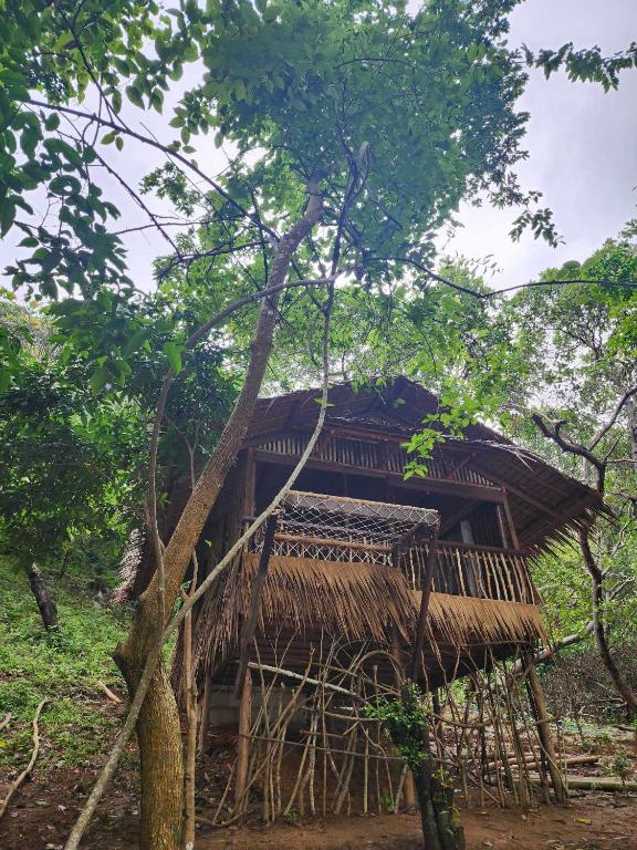 山林小屋附近的自然景觀