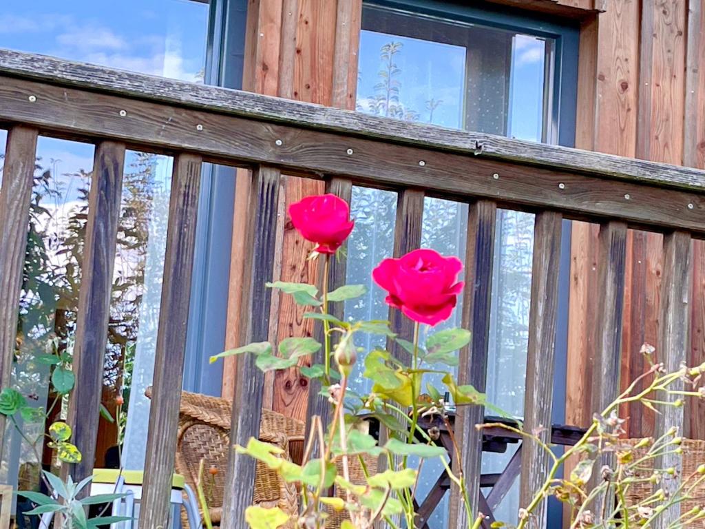 Zahrada ubytování Chalet Attersee - ganzes Ferienhaus, Seeblick, Kamin, Sauna