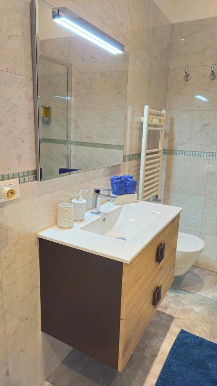Koupelna v ubytování Ca' Monica Apartment