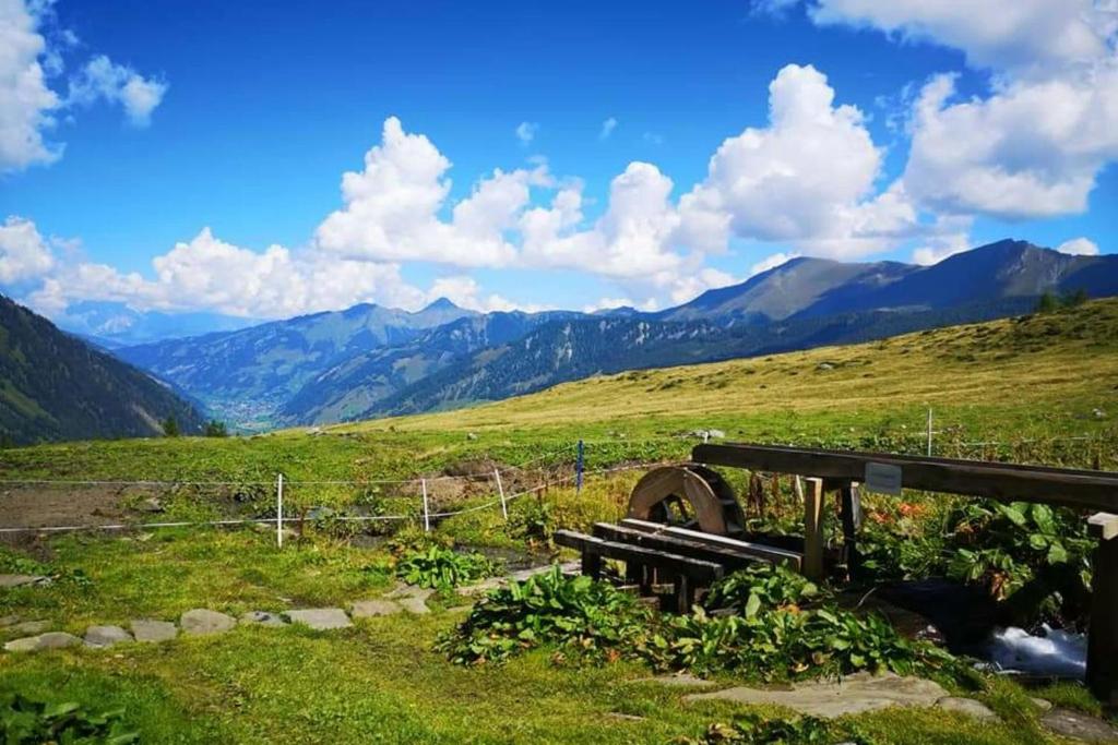 Príroda v okolí apartmánu