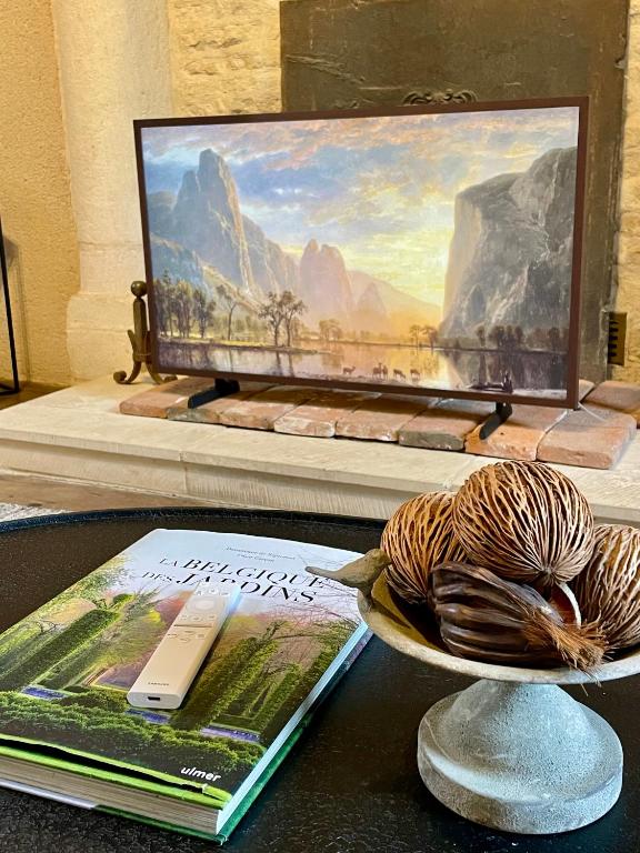TV a/nebo společenská místnost v ubytování Gîte d'exception - Manoir de Sacquenay