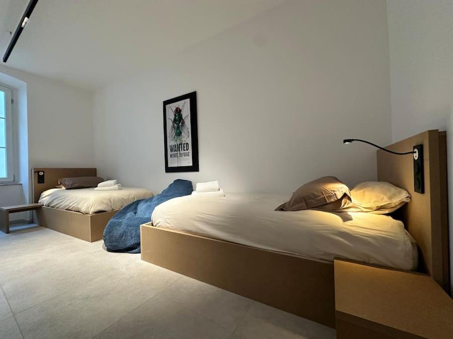 Le Big Stork - Appartement - Centre Historique – photo 41