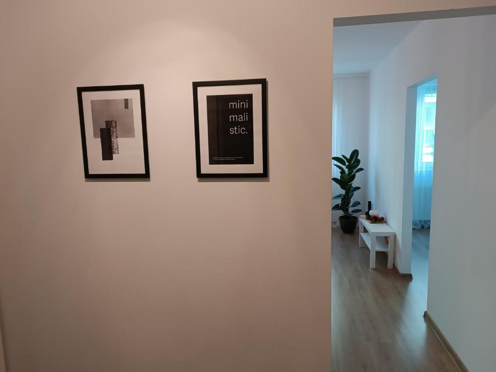 Koupelna v ubytování minimalistic