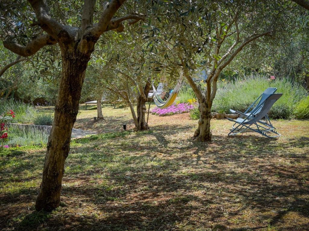 Zahrada ubytování Holiday Home Lavanda