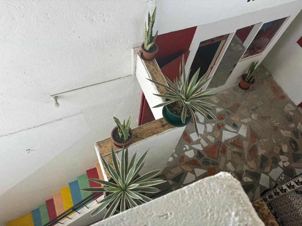 Fotografie z fotogalerie ubytování Casa Cisalta N3 - Quarto 5mn CENTER CITY v destinaci Praia