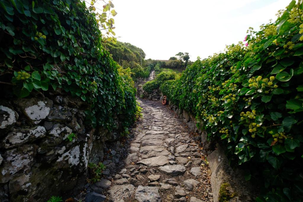 a stone path through a hedge lined alley at Aldeia da Cuada in Faja Grande