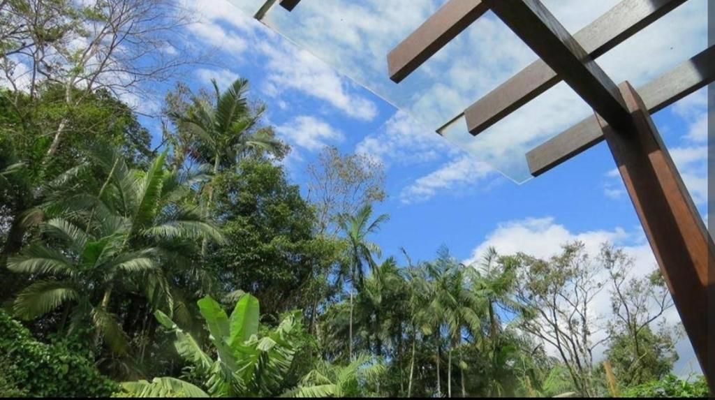 una ventana con vistas a los árboles y al cielo. en Casa Urbana, en Blumenau