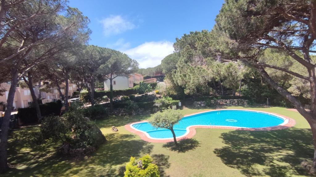an overhead view of a swimming pool in a yard with trees at VILLAS COSETTE Villa Cami de les Penyes in GRO