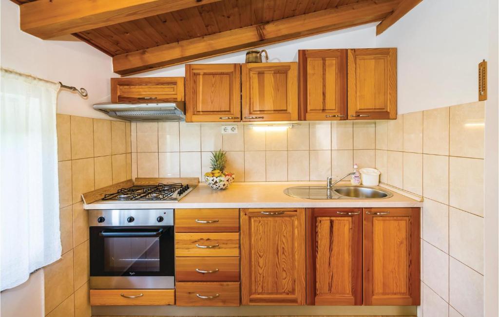 Kuchyňa alebo kuchynka v ubytovaní Holiday Home Debeljak With Sea View Xiv