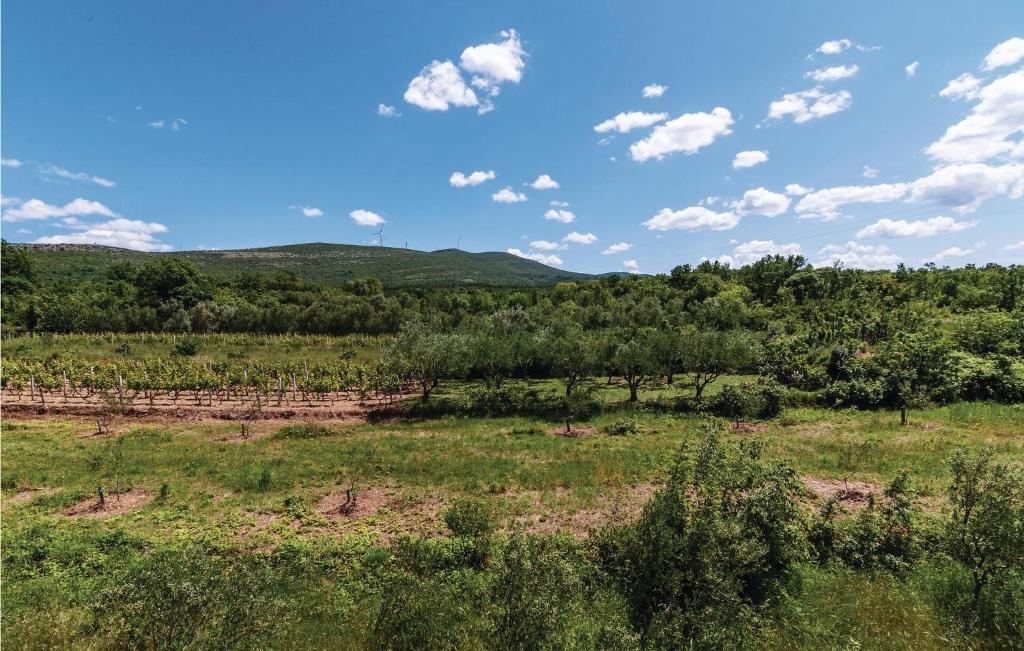 Príroda v okolí apartmánu