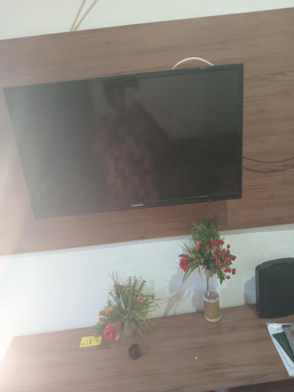 a flat screen tv hanging on a wall with two plants at Cantinho do lazer in Niterói
