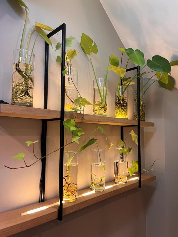 Dutch Design Hotel Vondelpark - Resim 18