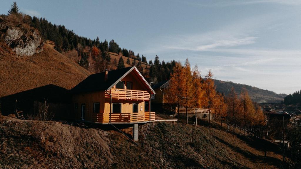 a small wooden house on a hill with trees at Village Brăduțu in Dămuc